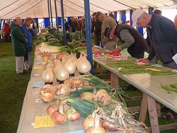 vegetable classes